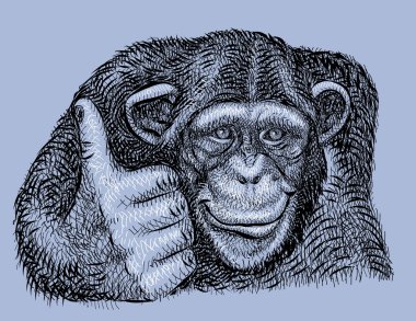 Chimpanzee drawing vector clipart