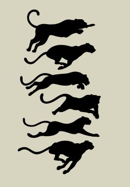 siluetleri koşma leopar