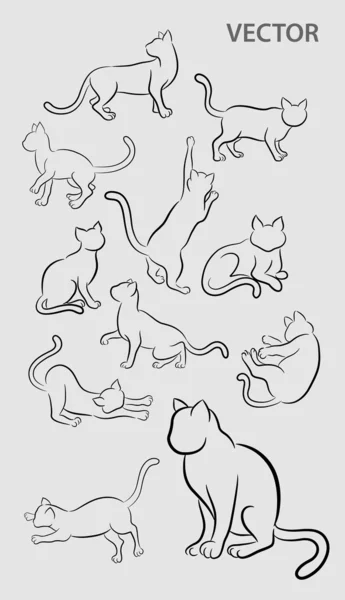 Cat Movement Sketches — Vector de stoc