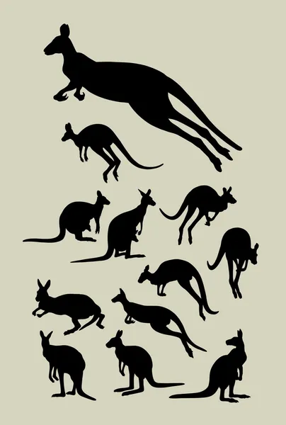 Kangaroo Silhouettes — Stock Vector