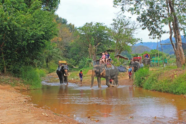 fil doğa yürüyüşü, Tayland