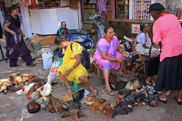 Selling hens, Goa, India — Stock Photo, Image