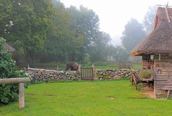yard çiftlik, saaremaa, Estonya