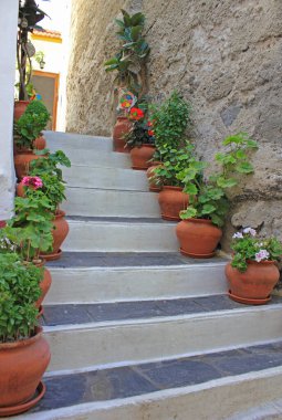 Outdoor stairs decorated with flower pots in the town of Mandraki, Nissyros, Dodekanes, Greece, Europe
