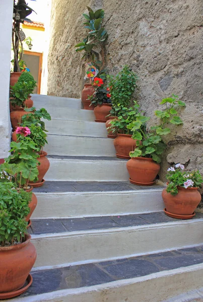 Outdoor Stairs Decorated Flower Pots Town Mandraki Nissyros Dodekanes Greece — Foto de Stock