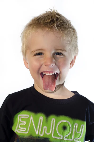 Nipper exhibit tongue — Stock Photo, Image