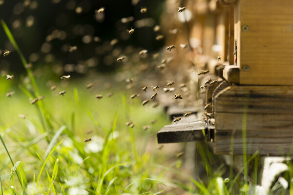 Был перед акциями.
