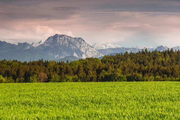 Alpes Traunstein — Foto de Stock