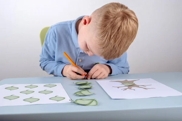 Niño Escribe Los Nombres Los Parientes Para Crear Árbol Genealógico —  Fotos de Stock