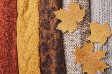 Sarı yapraklı sonbahar örgü süveterler. Kıyafet geri dönüşümü konsepti. Yüksek kalite fotoğraf