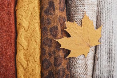 Sarı yapraklı sonbahar örgü süveterler. Kıyafet geri dönüşümü konsepti. Yüksek kalite fotoğraf