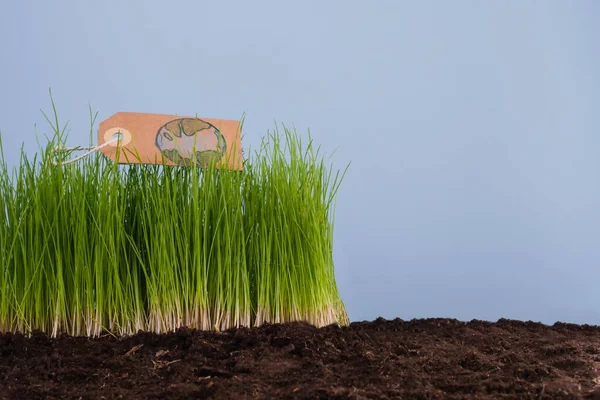 Selamatkan Planet Bumi Tag Dengan Gambar Bumi Pada Kecambah Rumput — Stok Foto