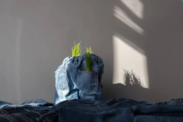 Kreatives Konzept Des Denim Recyclings Jeanshosen Mit Grünen Sprossen Stapel — Stockfoto