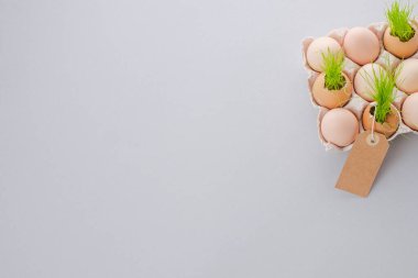 Karton bir kutuda etiketli yumurta içinde yeşil lahanalar. Eko konsepti. Paskalya asgari konsepti. Metin için boşluk. Yüksek kalite fotoğraf