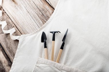 Ahşap bir arka planda ev bitkilerini nakletmek için gerekli aletlerle önlük modeli. Üst Manzara. Metin için boşluk. Yüksek kalite fotoğraf