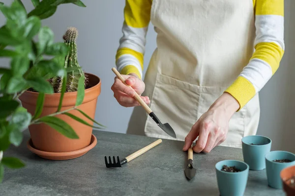 Pflanzen Hause Umtopfen Weibliche Hände Halten Werkzeuge Für Die Verpflanzung — Stockfoto