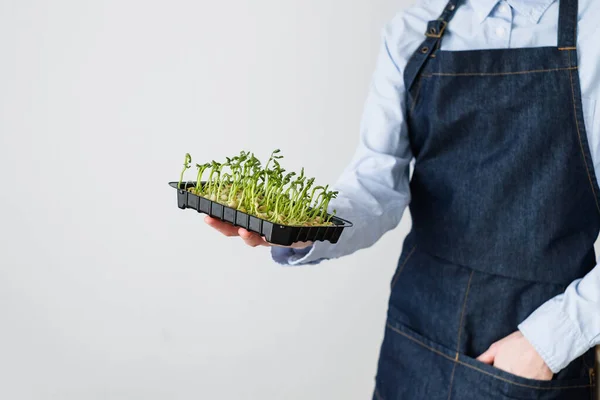 Oigenkännliga Kvinnliga Innehav Blomkruka Zamioculcas Och Verktyg För Att Transplantera — Stockfoto