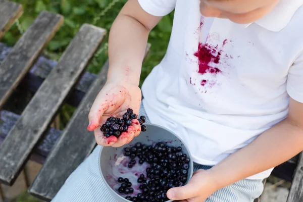 Uzavřete Dětskou Ruku Borůvkami Špinavá Skvrna Bílém Tričku Venku Kvalitní — Stock fotografie