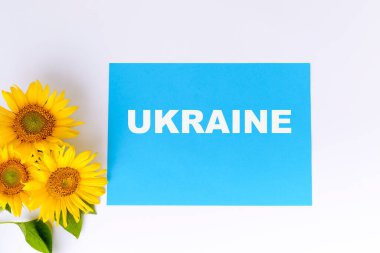 Üzerinde Ukrayna yazan mavi kart. Beyaz arka planda ayçiçeği çiçekleri var. en üstteki görünüm