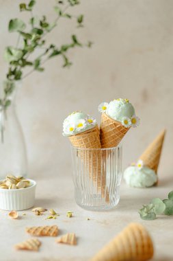 Gerçek fıstıklı vejetaryen dondurma ve papatya ile süslenmiş hindistan cevizi sütü. Yaz mevsimsel soğuk, sağlıklı vejetaryen tatlı. Yüksek kalite fotoğraf