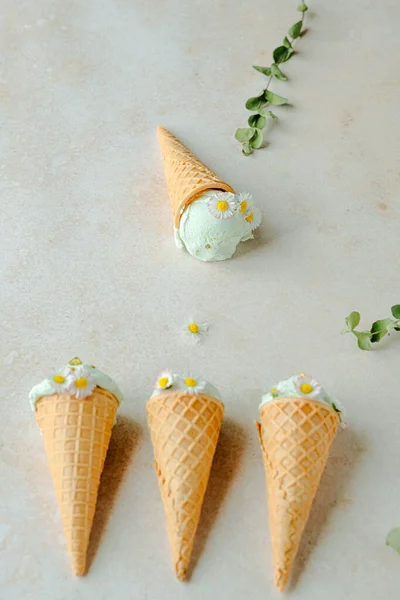 Παγωτό Φιστίκι Κέρατο Είναι Διακοσμημένο Χαμομήλι Και Ευκάλυπτο Θερινό Παγωμένο — Φωτογραφία Αρχείου