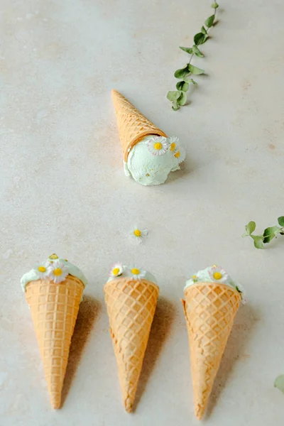 Pistache Ijs Een Hoorn Versierd Met Kamillebloemen Eucalyptus Zomer Seizoensgebonden — Stockfoto