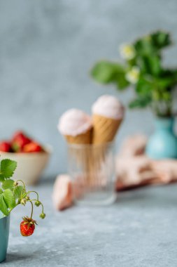 İki ev yapımı dondurmanın arka planında olgun böğürtlenli çilek tohumu bir bardakta. Metin için boşluk. Yüksek kalite fotoğraf