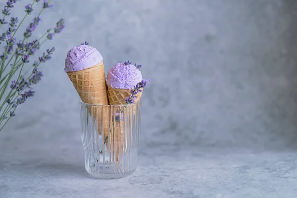 Παγωτό Λεβάντας Κρεμ Βίγκαν Ποτήρι Στυλιζαρισμένο Μπουμπούκια Λουλουδιών Θερινό Παγωμένο — Φωτογραφία Αρχείου