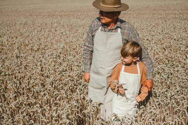 An old baker standing with a boy in the middle of a wheat field. Person dressed hat apron organic healthy food concept. Baking family business. outdoors. High quality photo