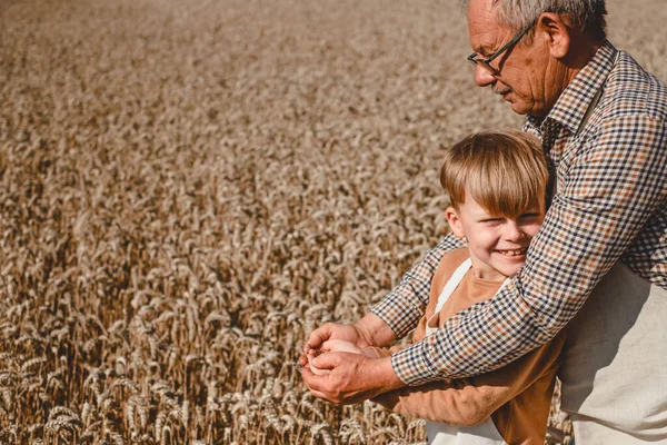 An elderly man farmer together with a boy are holding full handfuls of wheat. The child looking at the camera and smiles. High quality photo
