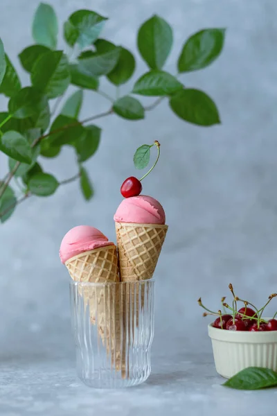 Creamy Vegan Cherries Ice Cream Summer Seasonal Cold Sweet Healthy — Φωτογραφία Αρχείου