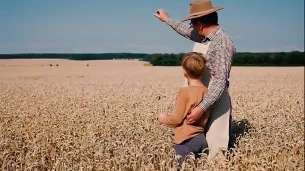 Old Baker Grandson Showing Wheat Harvest Field Turned Back Person — Stockvideo