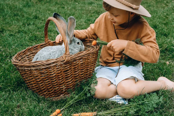 A child feeds a rabbit with carrots while sitting on a green lawn next to a basket space for text. outdoor.