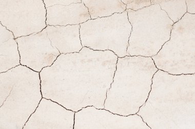 Texture with cracks on the ground. A crack on the bank of the river is caused by shoaling. Drought and climate change concept. High quality photo