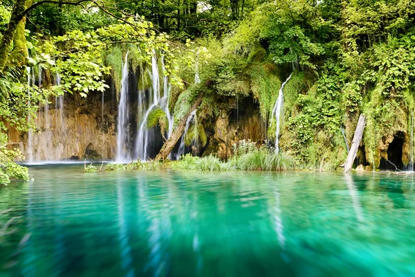 Vattenfall i djupa skogen, Kroatien — Stockfoto