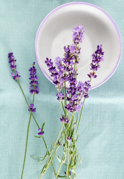 Massa lavendel blommor med skålen på turkos bakgrund — Stockfoto