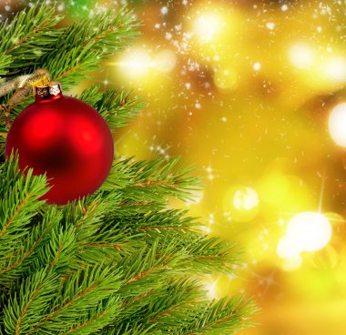 Noel topları ve köknar dalı parlayan ışıklar ile arka planda