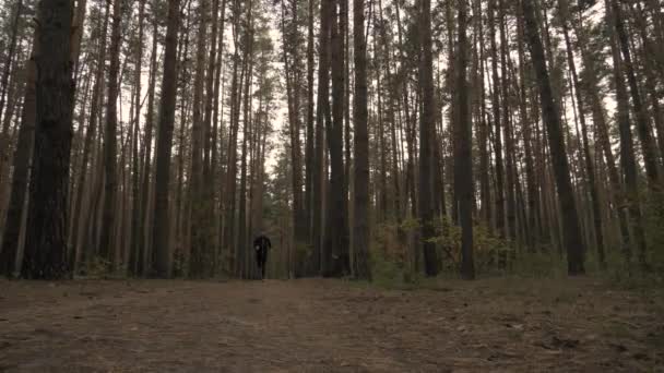 Бегущий человек в лесу — стоковое видео