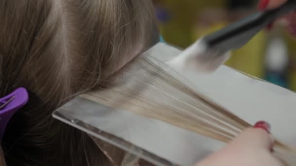 Escova de folha de cabelo — Vídeo de Stock