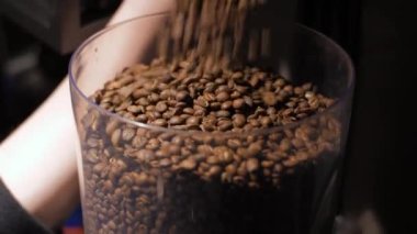 Kavrulmuş kahve çekirdekleri kahve öğütücüsünün şeffaf kabına düşer.