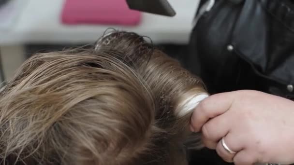 Hair Stylist Uses Hair Dryer Comb Beauty Salon Closeup Dry — ストック動画