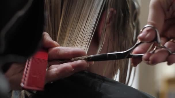 Slow Motion Hairdresser Cuts Scissors Hair Woman Hairdressing Beauty Salon — Vídeo de Stock