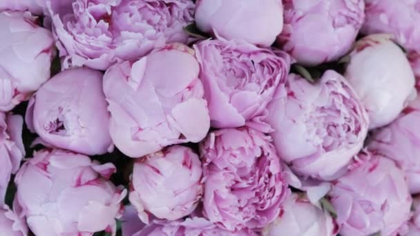 Прекрасний Рожевий Букет Peony Блискучі Кам Яні Квіти Зблизька Зверху — стокове відео