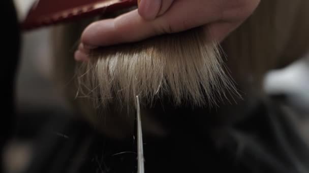 Womans Hairdressing Beauty Salon Slow Motion Barber Hands Cut Scissors — Video Stock