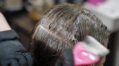 Hair coloring close-up. Hairdressers hand paints gray hair roots with a brush. Hair coloring close-up