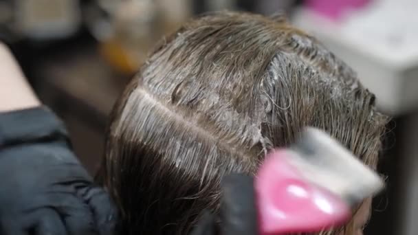 Hair Coloring Close Hairdressers Hand Paints Gray Hair Roots Brush — Stockvideo