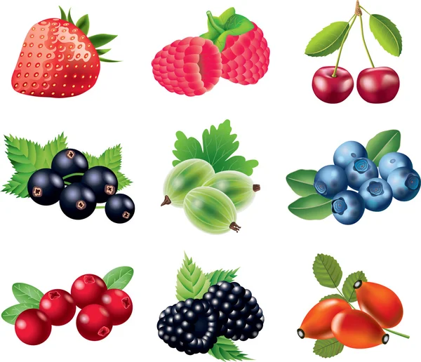 Berries photo-realistic set — Stock Vector