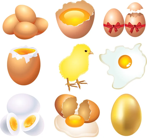 Eggs photo-realistic set — Stock Vector