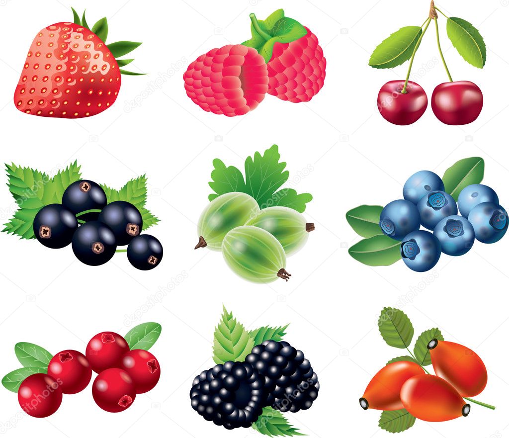 Berries photo-realistic set