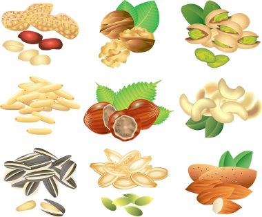 deli ve tohum foto-gerçekçi kümesi